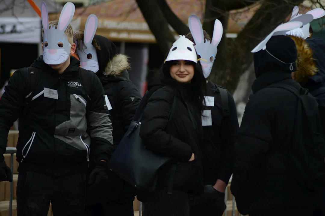Rekord Polski dla Bartoszka Jędrasika chorego na SMA. W Tarnobrzegu zgromadziło się ponad 500 osób przebranych za króliki