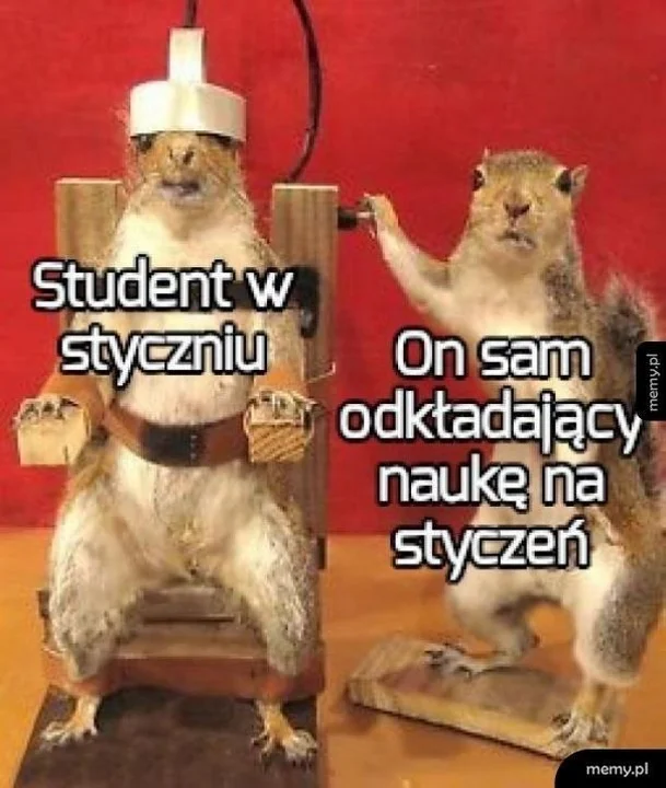 Najlepsze memy o studiach i studentach