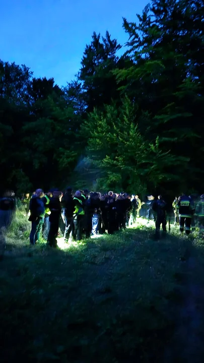 Poszukiwania w Płowcach
