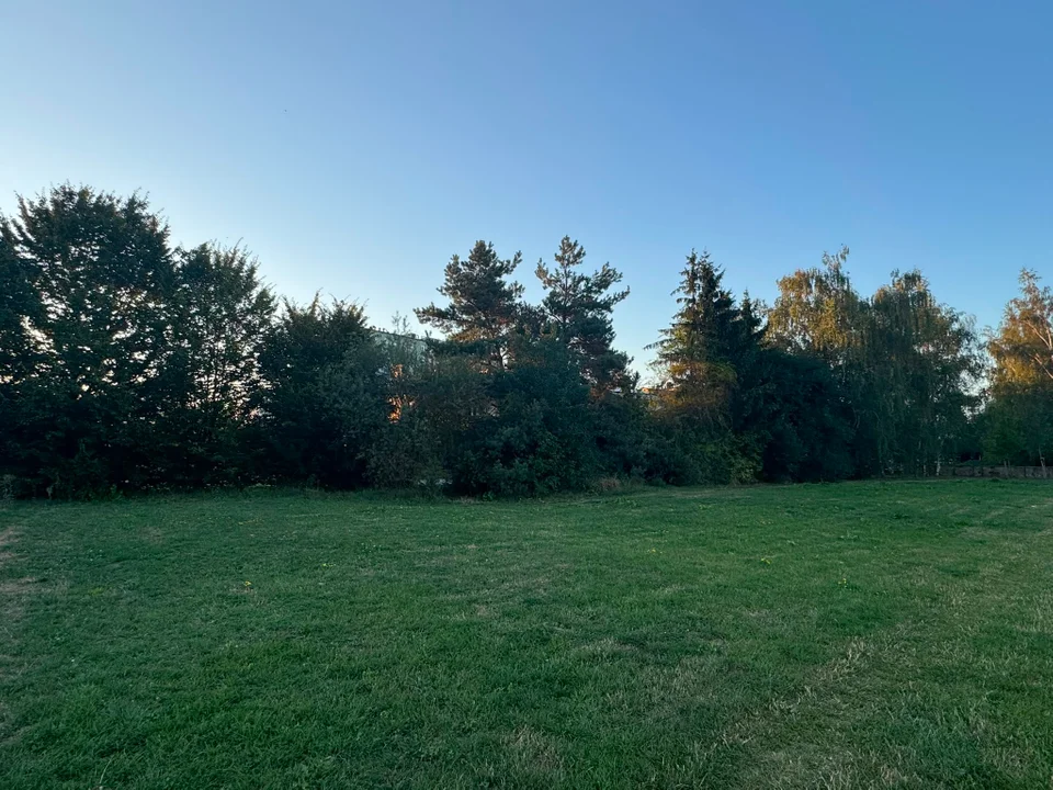 Teren niezagospodarowany