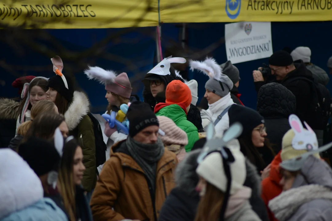 Rekord Polski dla Bartoszka Jędrasika chorego na SMA. W Tarnobrzegu zgromadziło się ponad 500 osób przebranych za króliki
