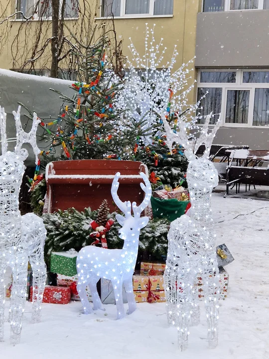 Świąteczny Podkarpacki Bazarek w Boguchwale. Wszystko na wigilijny stół. Konkursy, loteria, Baciary oraz finalista Masterchefa