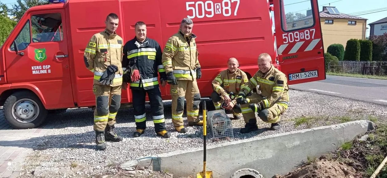 Na ratunek ludziom i zwierzętom. Strażacy z Malinia nie zawiedli [ZDJĘCIA] - Zdjęcie główne