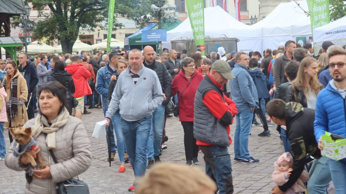 Drugi dzień festiwalu "Karpaty na Widelcu". Robert Makłowicz docenił Rzeszów [ZDJĘCIA, WIDEO]