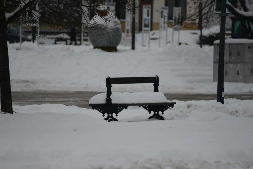 Zaśnieżony Tarnobrzeg - 15.12.2022