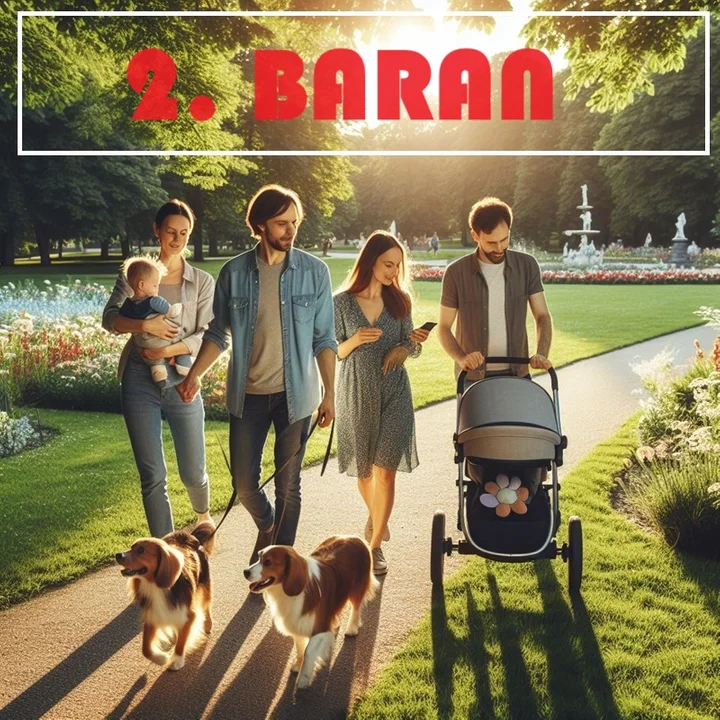 2. Baran