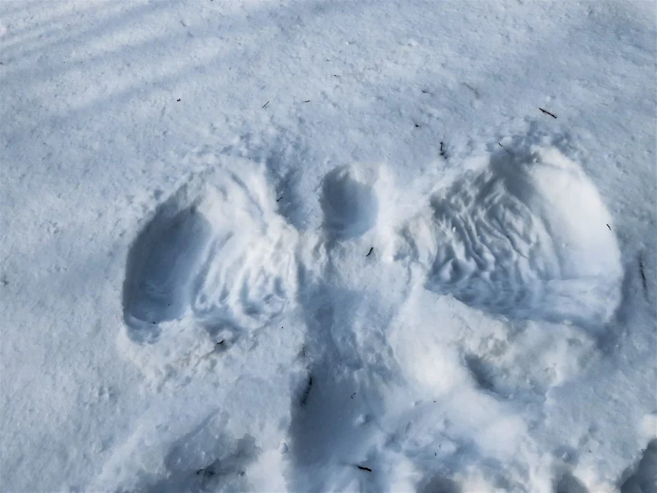 Śnieżny Anioł