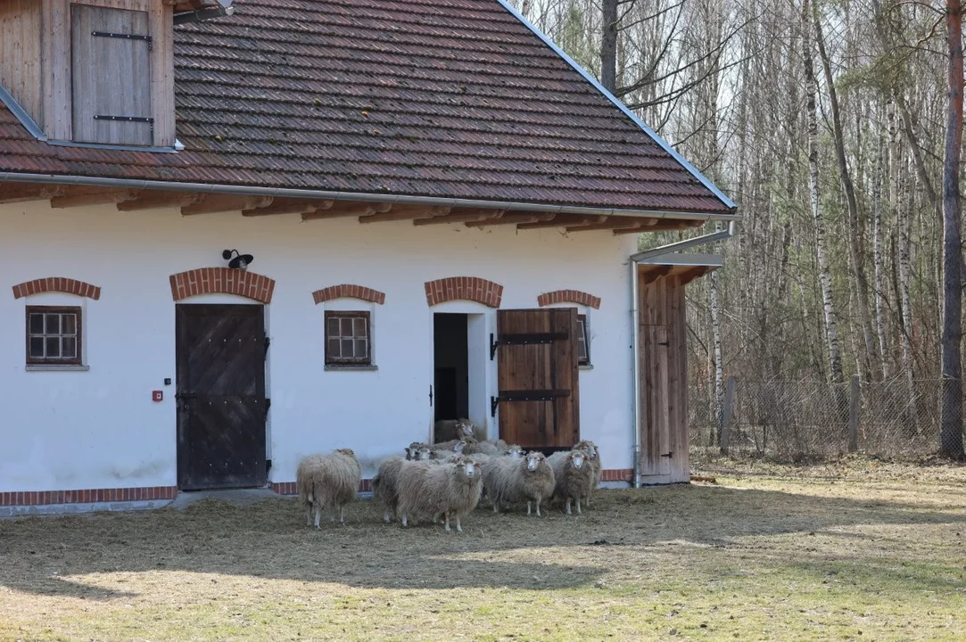 Wiosenny spacer po skansenie w Kolbuszowej