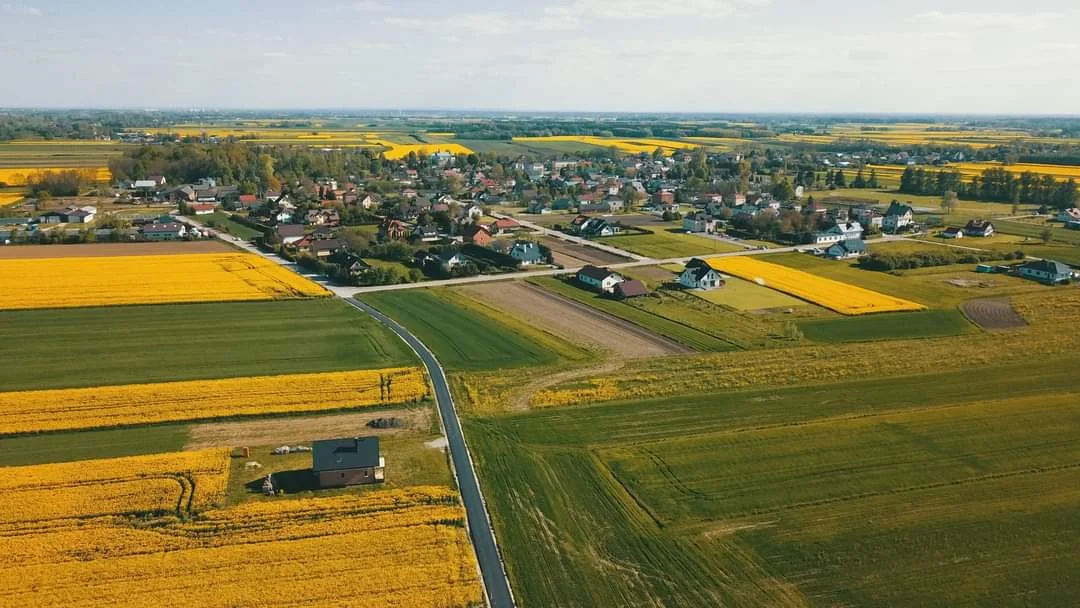 Gmina Borowa w rzepaku skąpana