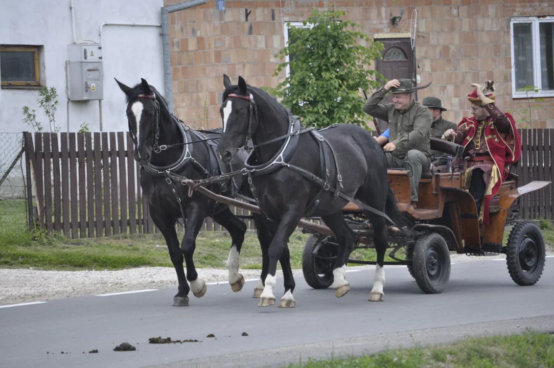 Parada konna w Żarówce