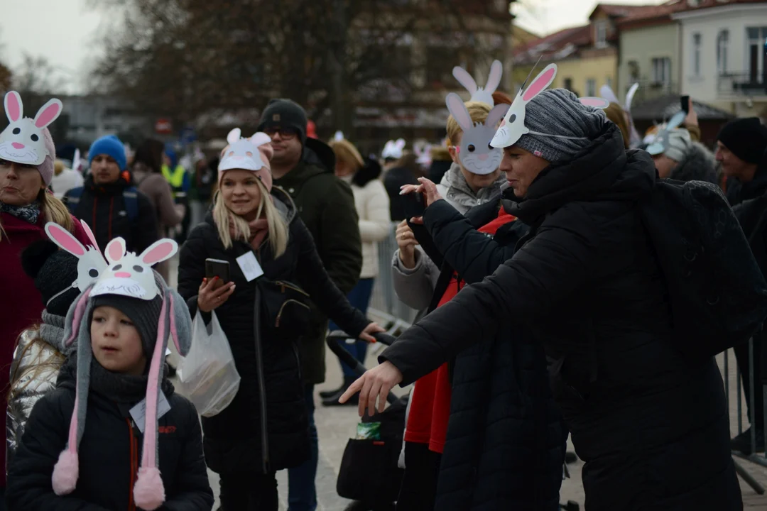 Rekord Polski dla Bartoszka Jędrasika chorego na SMA. W Tarnobrzegu zgromadziło się ponad 500 osób przebranych za króliki