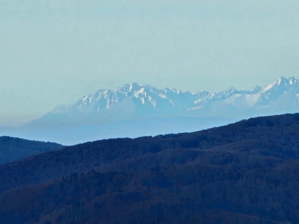 Wyjątkowy moment w Bieszczadach