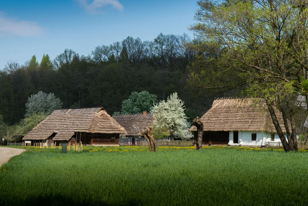 Sanocki skansen wiosną jest wyjątkowo piękny