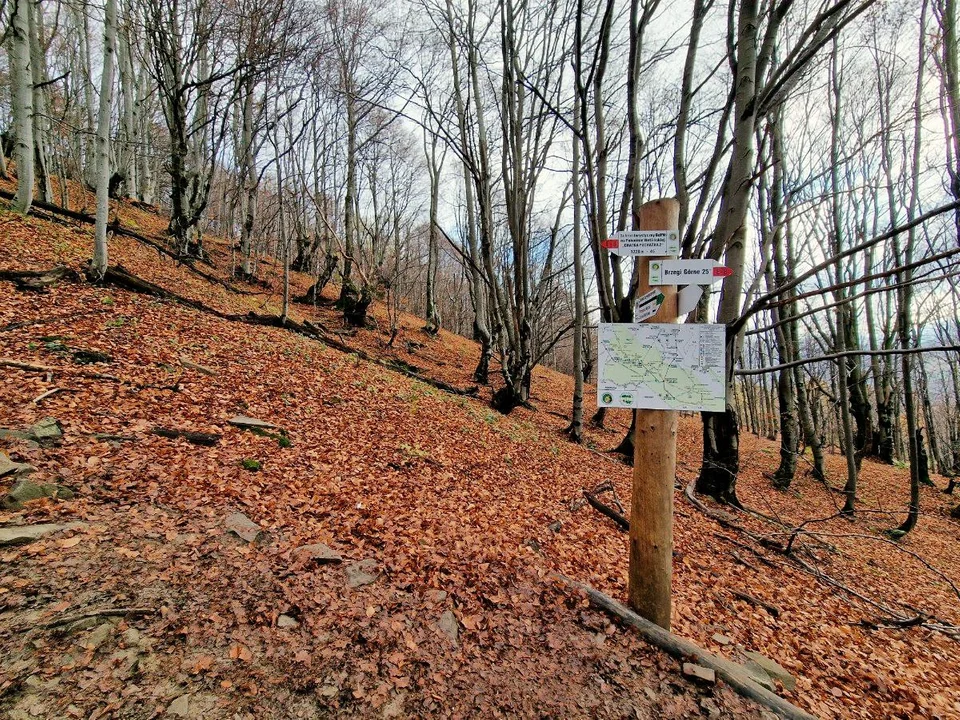 Szlak na Połoninę Wetlińską