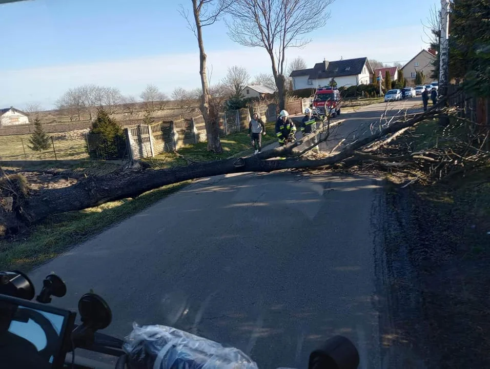 Silny wiatr na Podkarpaciu - interwencje strażaków