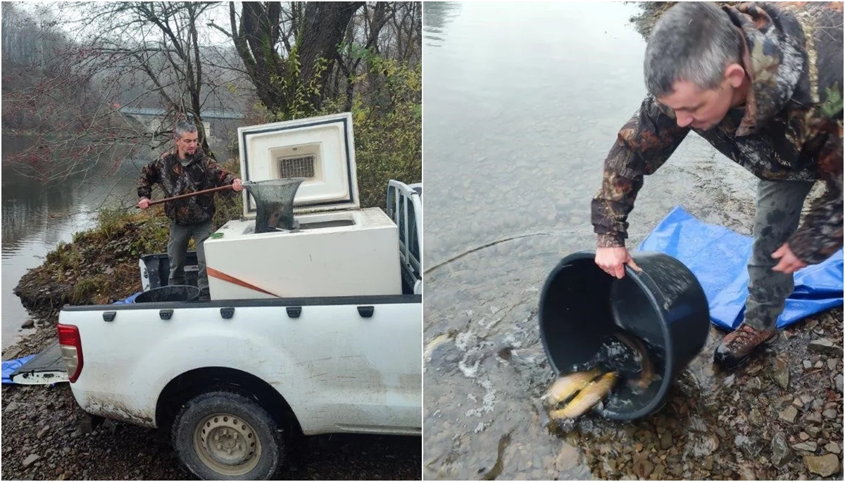 Akcja zarybiania Zbiornika Myczkowieckiego. Do jeziora trafiło 150 kilogramów pstrąga potokowego [ZDJĘCIA] - Zdjęcie główne