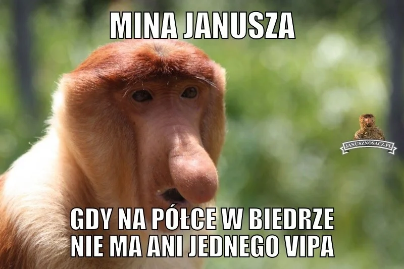 Dzień Piwa. Zobacz najlepsze memy