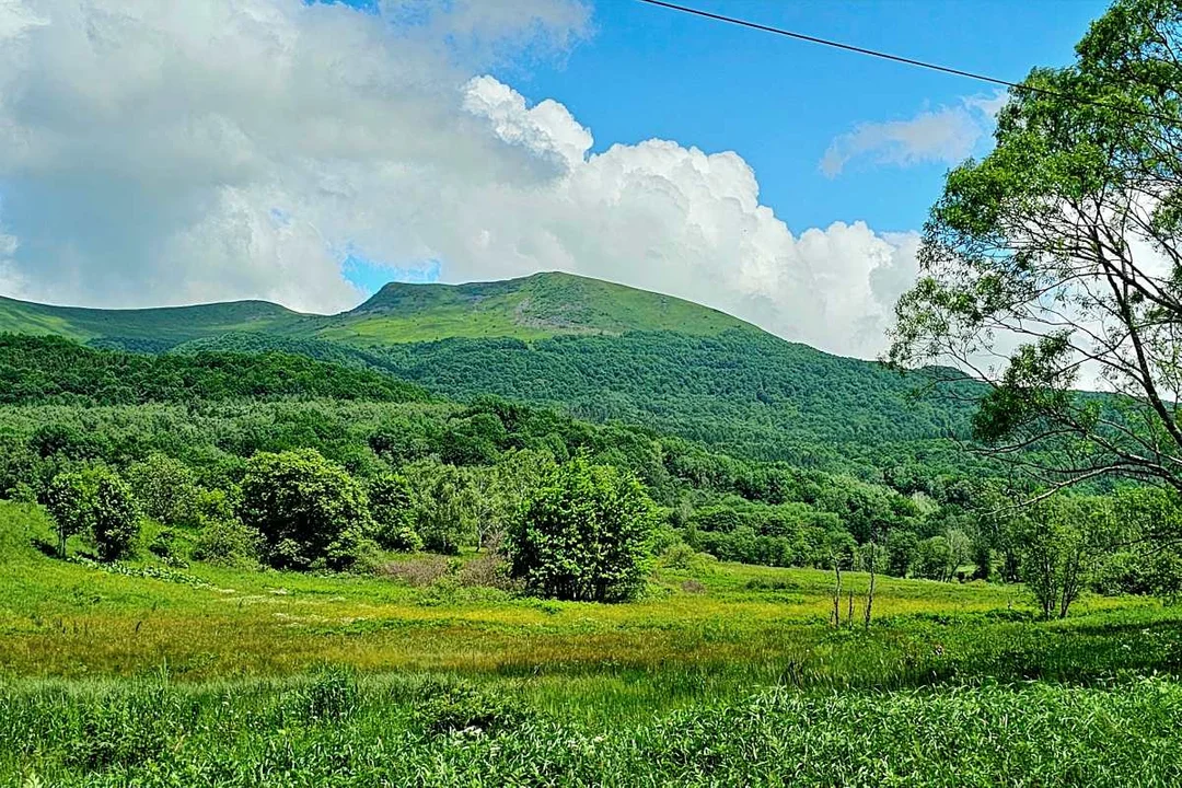 Tarnica z Wołosatego