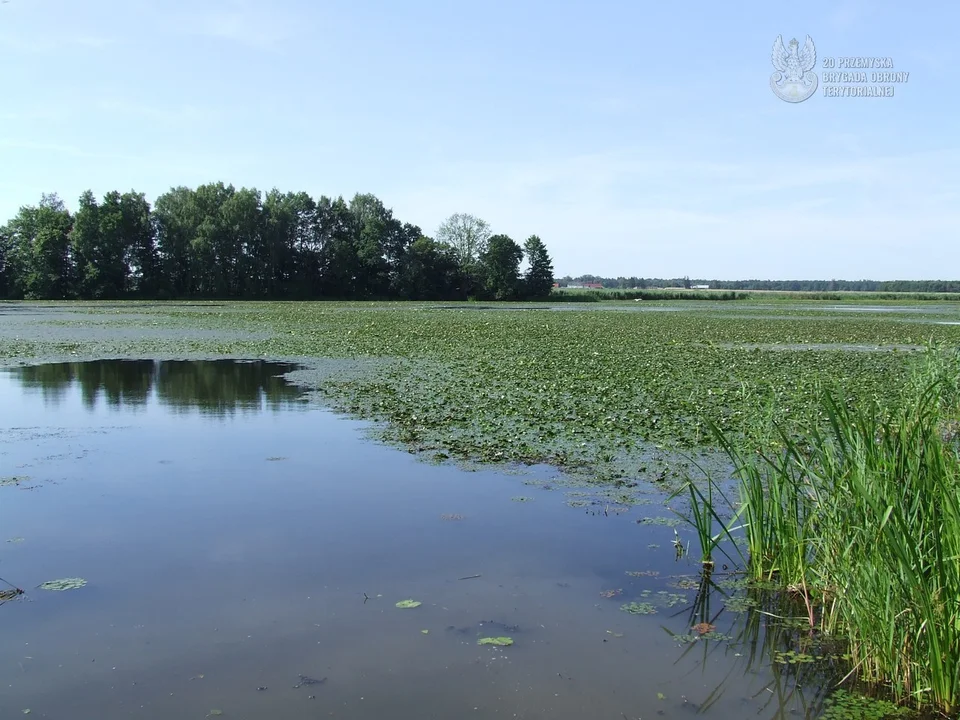 Śnięte ryb w zbiorniku wodnym „Stary Lubliniec”