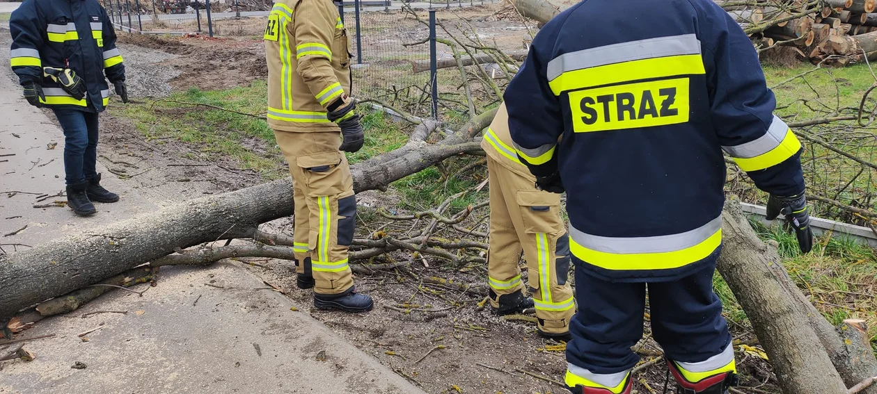 Straż Pożarna walczy ze skutkami silnego wiatru na Podkarpaciu