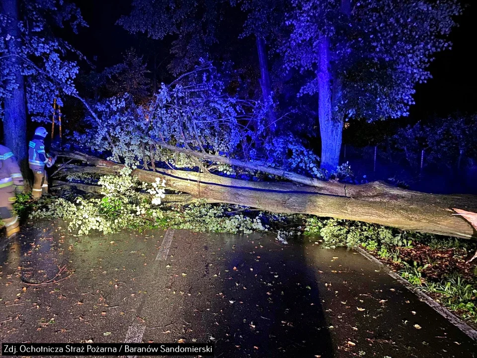 Zniszczenia po nocnej burzy na Podkarpaciu