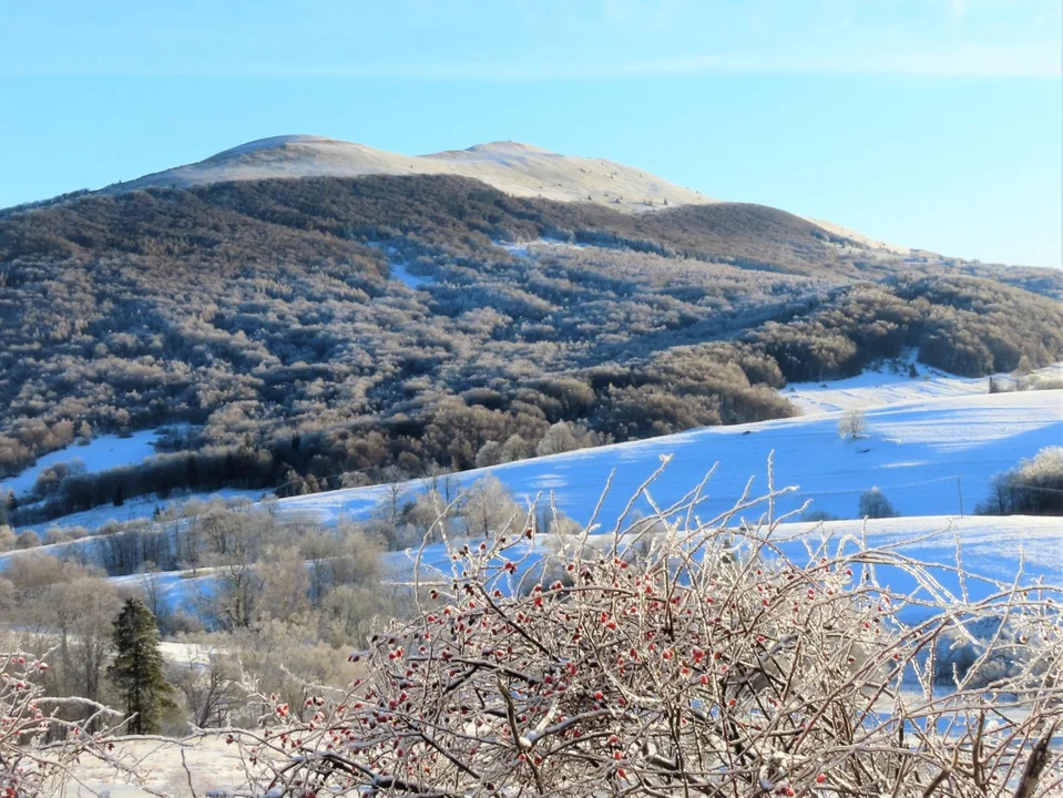 Bieszczady. Połonina Caryńska