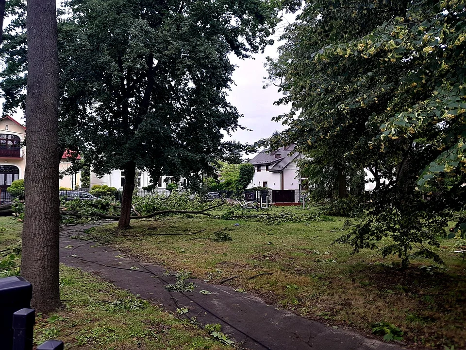 Burza przy ZS im. Groszkowskiego