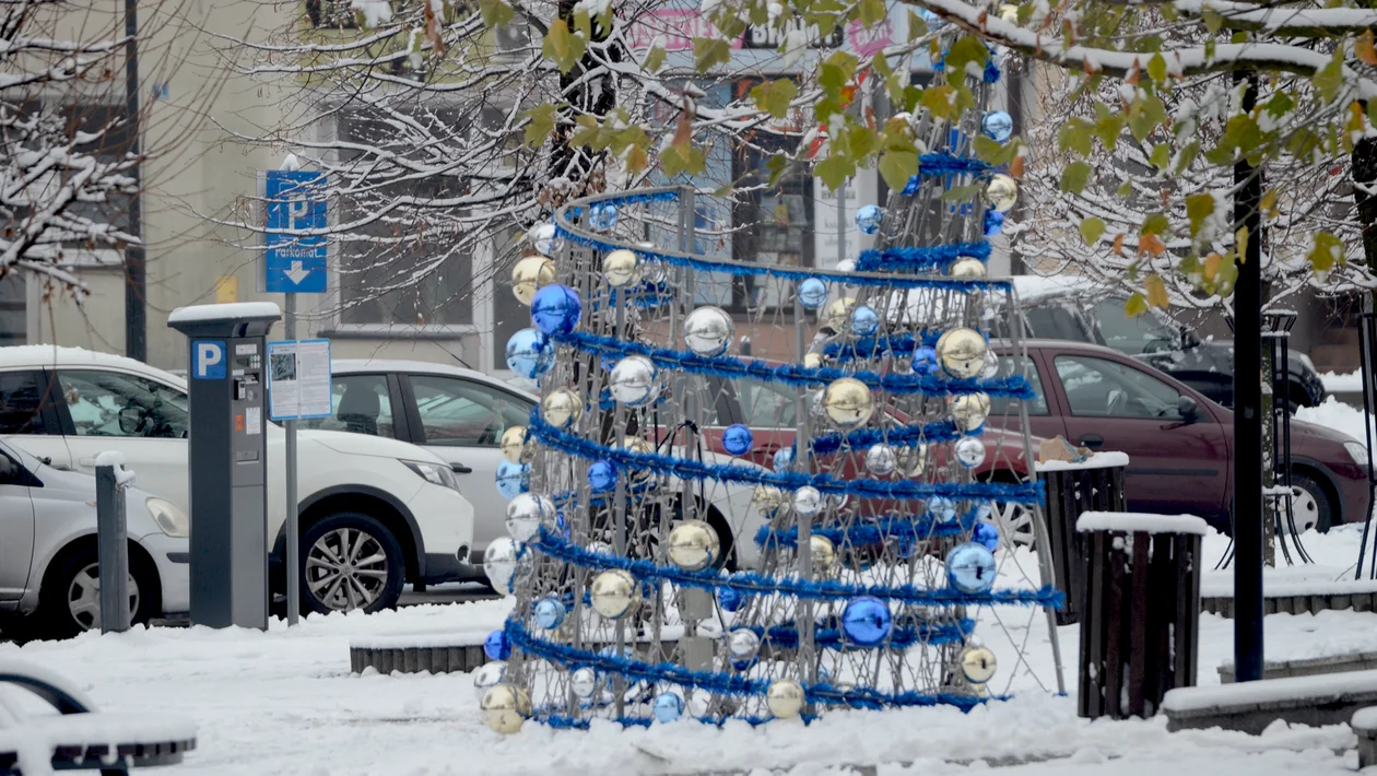 Choinka na rynku w Kolbuszowej