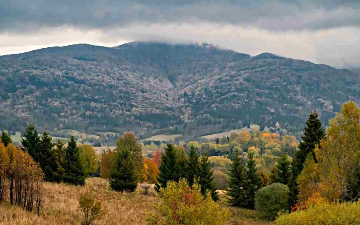 Jesienne Bieszczady