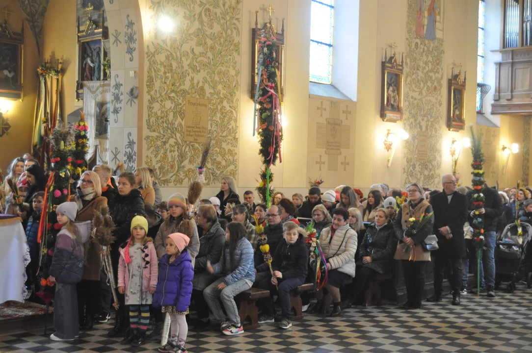 Parafianie w Przecławiu świętowali z pięknymi palmami własnego wykonania