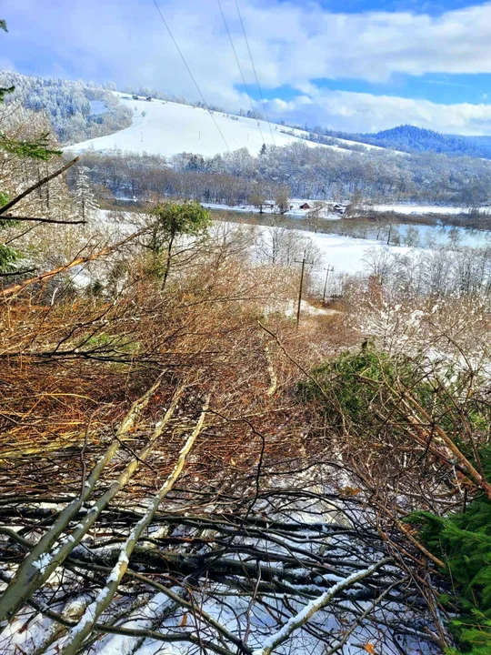 Trudne dni za strażakami z Podkarpacia. Silny wiatr, ciężki śnieg i mnóstwo szkód [ZDJĘCIA]