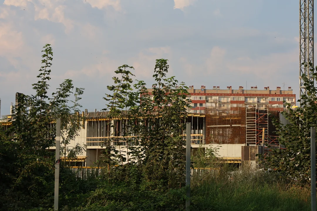 Widok z daleka