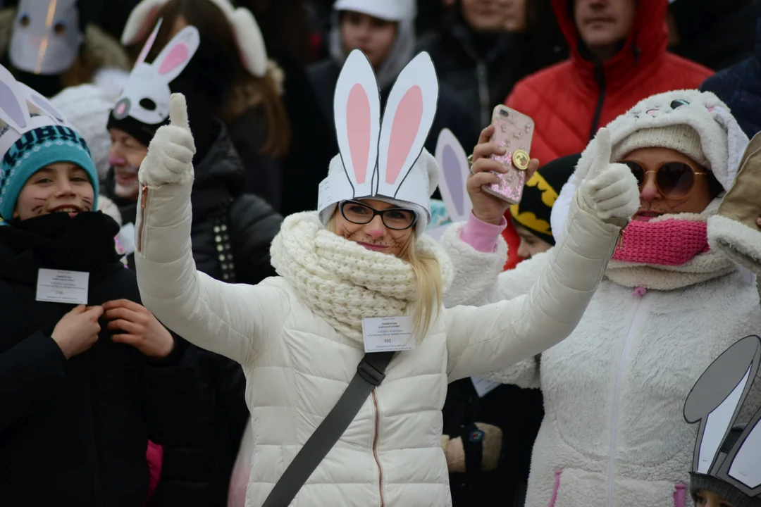 Rekord Polski dla Bartoszka Jędrasika chorego na SMA. W Tarnobrzegu zgromadziło się ponad 500 osób przebranych za króliki