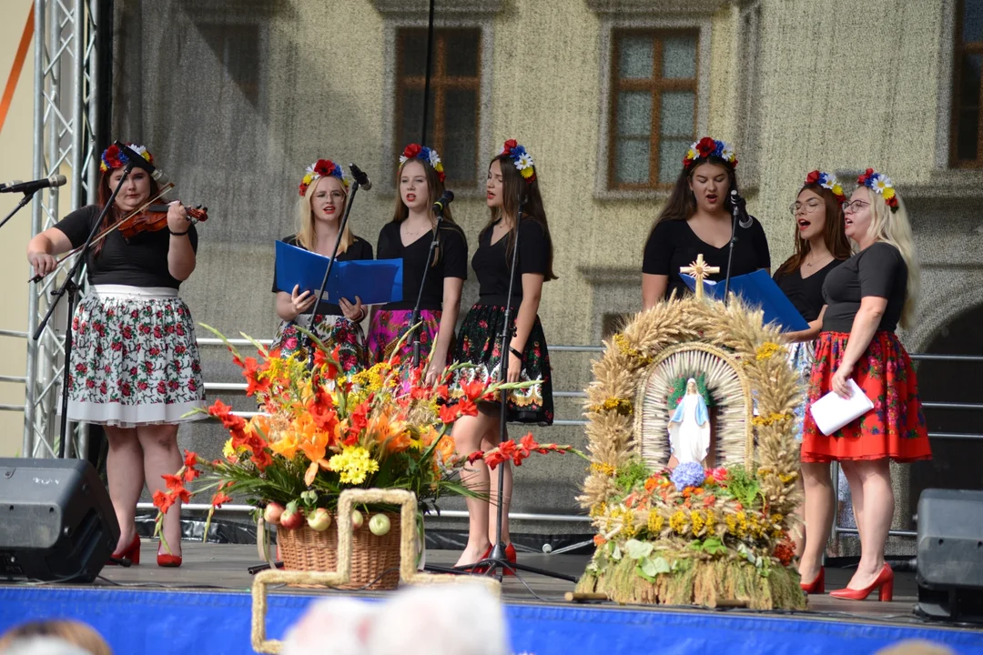 Dożynki Miejskie w Tarnobrzegu. Tłumy w parku dzikowskim. Byłeś odszukaj na fotografiach siebie lub swoich znajomych [ZDJĘCIA] - Zdjęcie główne