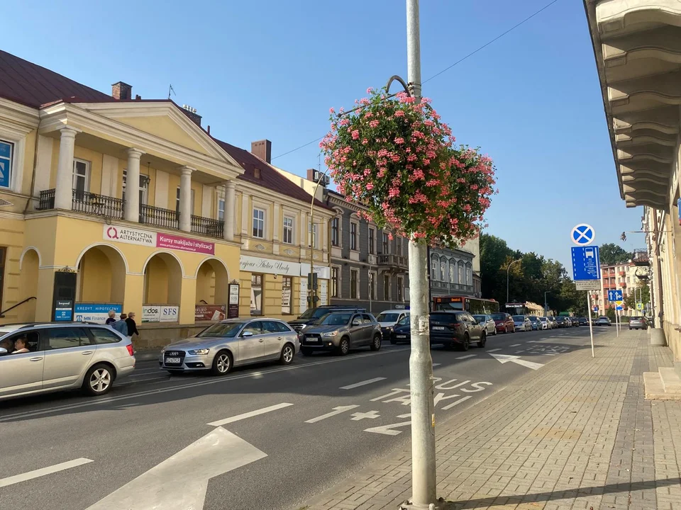 „Cały plac stoi” Kierowcy o korkującym się wiecznie pl. Śreniawitów [ZDJĘCIA]