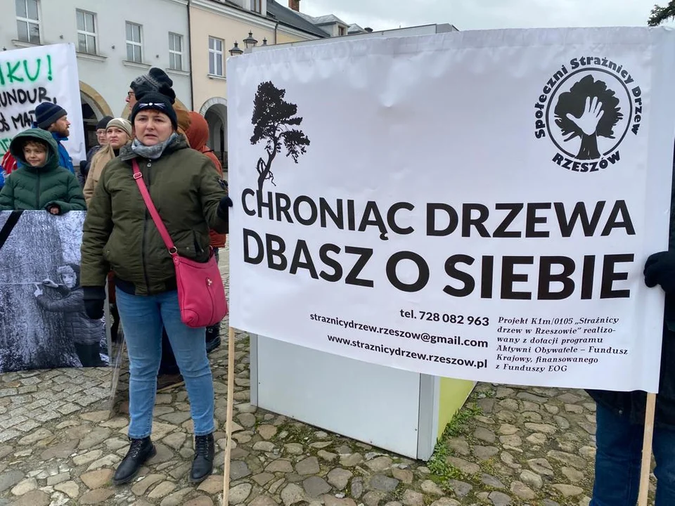 Obrońcy przyrody z Podkarpacia protestują, w lasach między Rymanowem-Zdrój a Iwoniczem-Zdrój trwa wycinka drzew