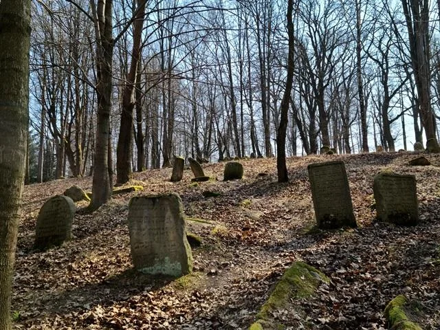 Cmentarz Żydowski w Lesku