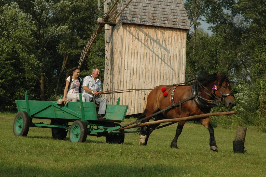 Koń, jaki jest.. - skansen w Kolbuszowej 2011