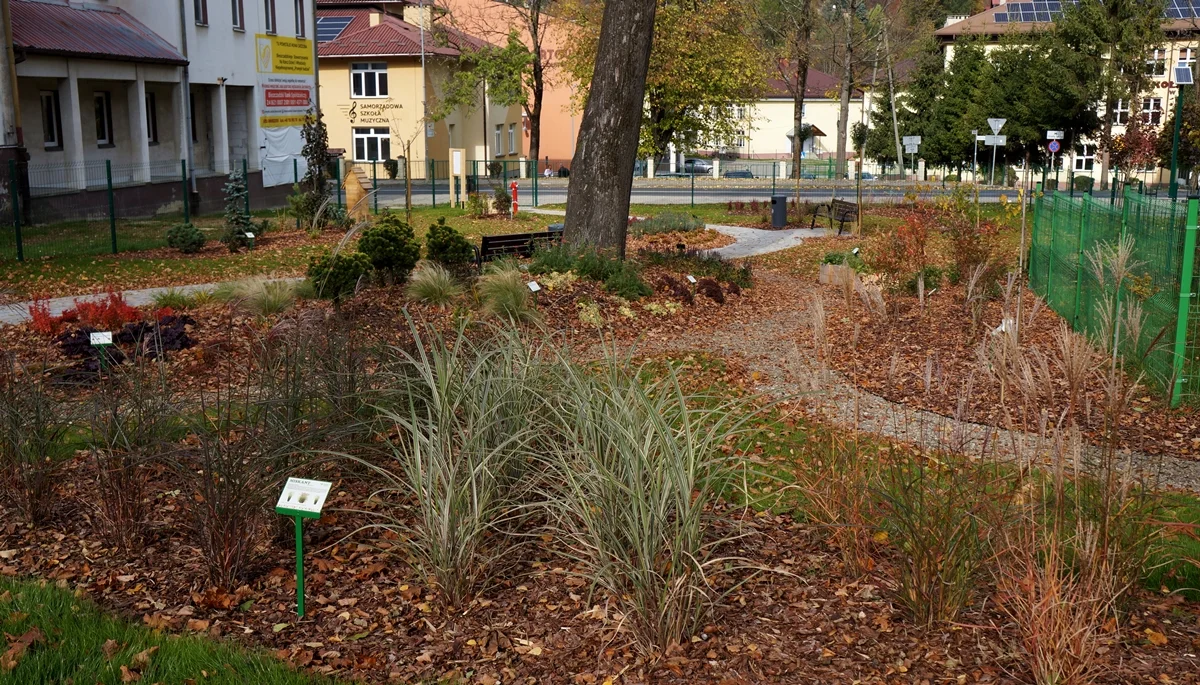 Ogród sensoryczny w Ustrzykach Dolnych. Jakie rośliny możemy tam zobaczyć? [ZDJĘCIA] - Zdjęcie główne