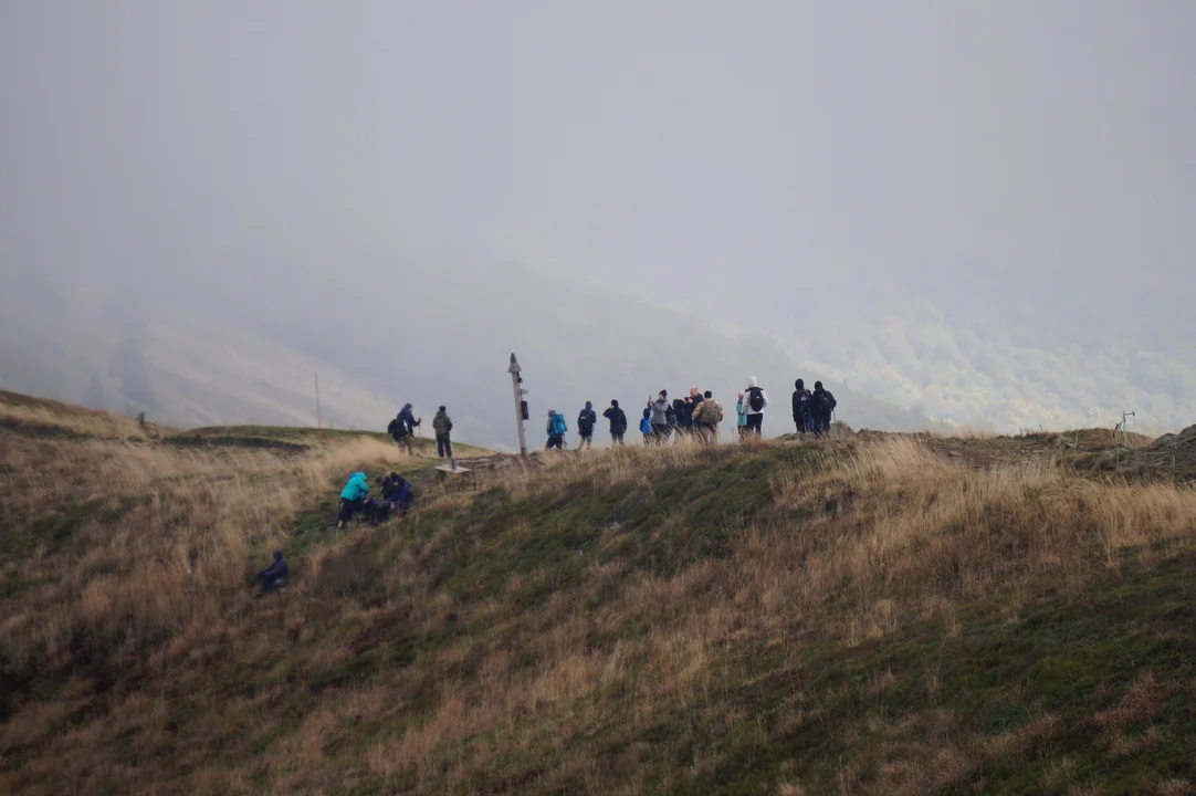 Bieszczady. Najkrótszy szlak na Połoninę Caryńską. Skąd rozpocząć wędrówkę? [ZDJĘCIA, WIDEO] - Zdjęcie główne