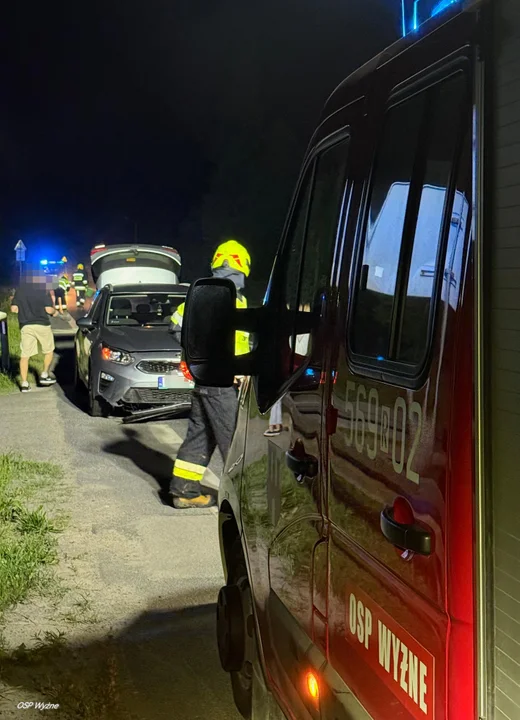 Samochód zderzył się z dzikim zwierzęciem