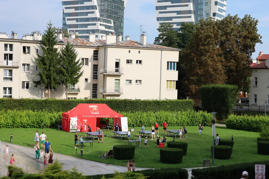 Widok na piknik