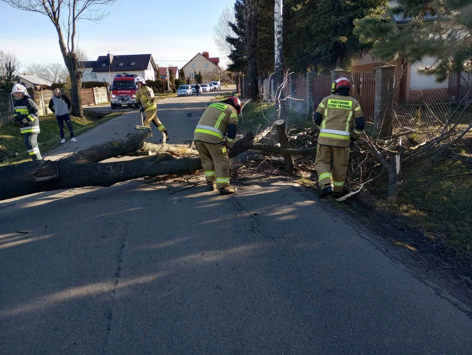 Silny wiatr na Podkarpaciu - interwencje strażaków