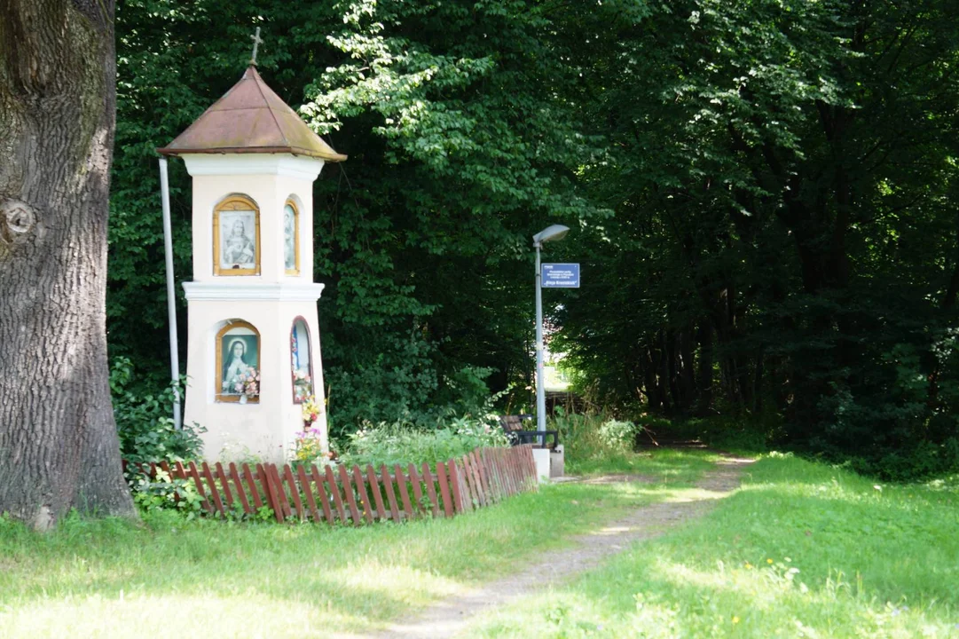 Park dworski przy wjeździe do Leska zostanie zagospodarowany