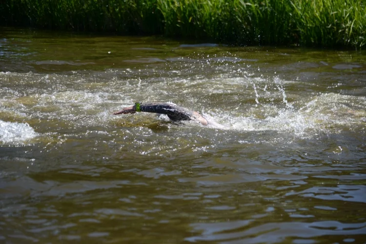 III Triathlon im. Aleksandra Ładosia w Głogowie Małopolskim