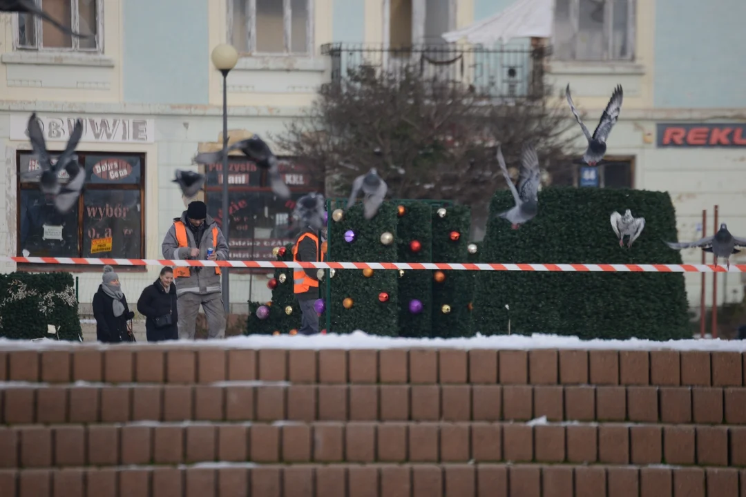 Pierwsze ozdoby świąteczne zamontowano na Placu Bartosza Głowackiego w Tarnobrzegu [ZDJĘCIA] - Zdjęcie główne