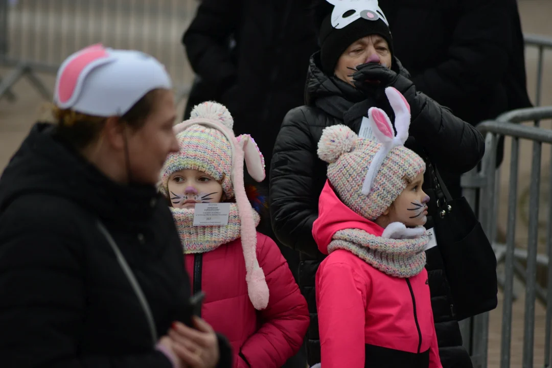Rekord Polski dla Bartoszka Jędrasika chorego na SMA. W Tarnobrzegu zgromadziło się ponad 500 osób przebranych za króliki