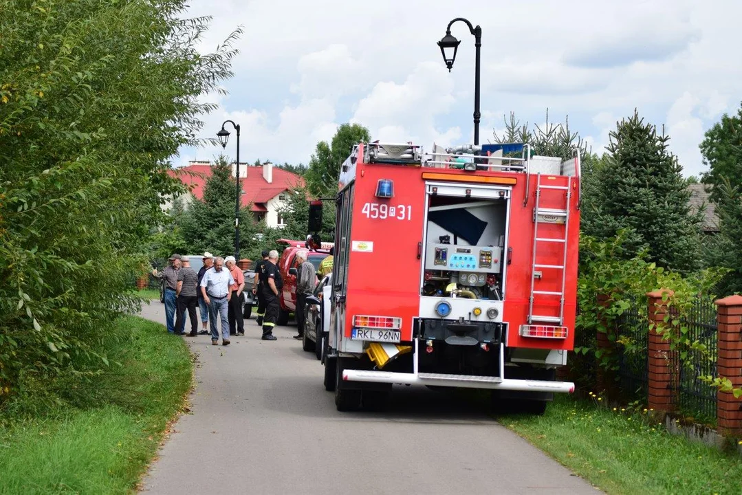 Śnięte ryby w Cmolasie. Akcja strażaków