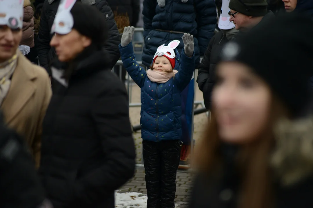 Rekord Polski dla Bartoszka Jędrasika chorego na SMA. W Tarnobrzegu zgromadziło się ponad 500 osób przebranych za króliki