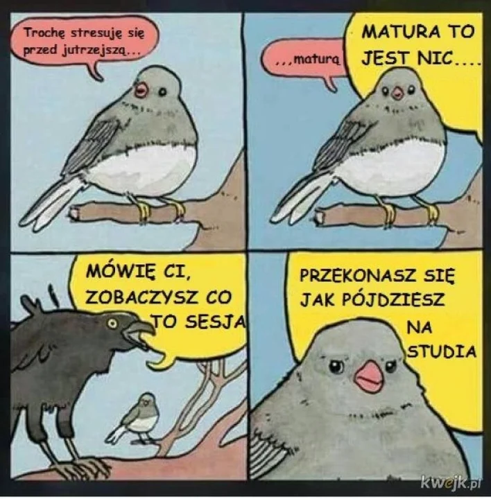 Najlepsze memy na maturę